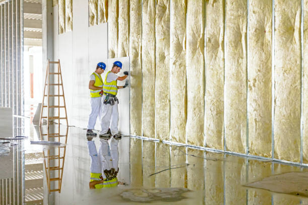 Best Insulation for Specific Applications in Lawson, MO